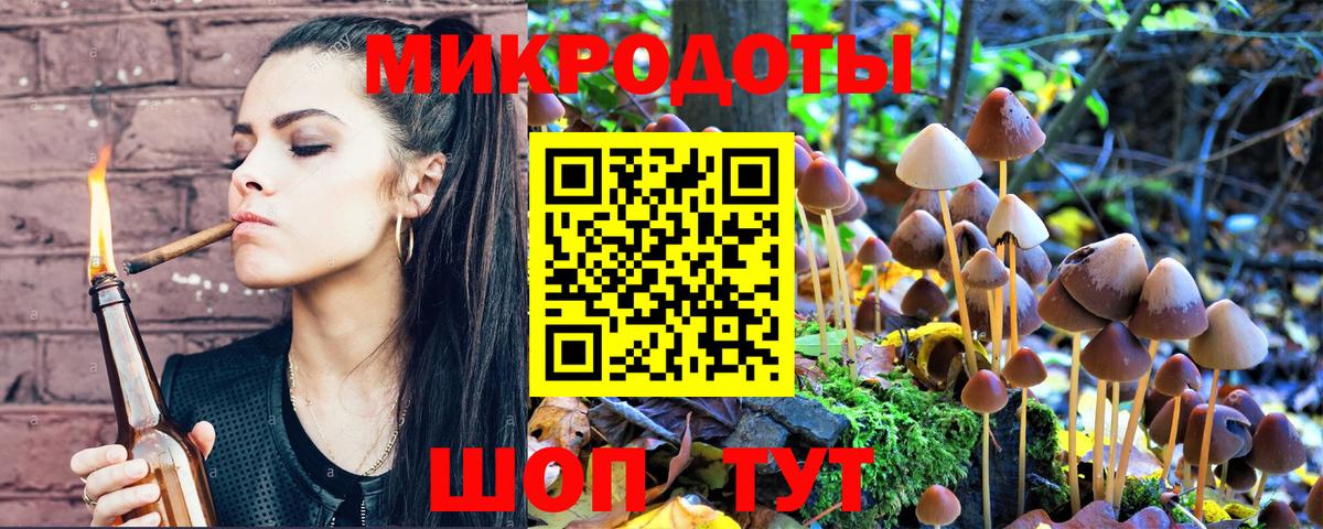 Псилоцибиновые грибы мицелий Кашира
