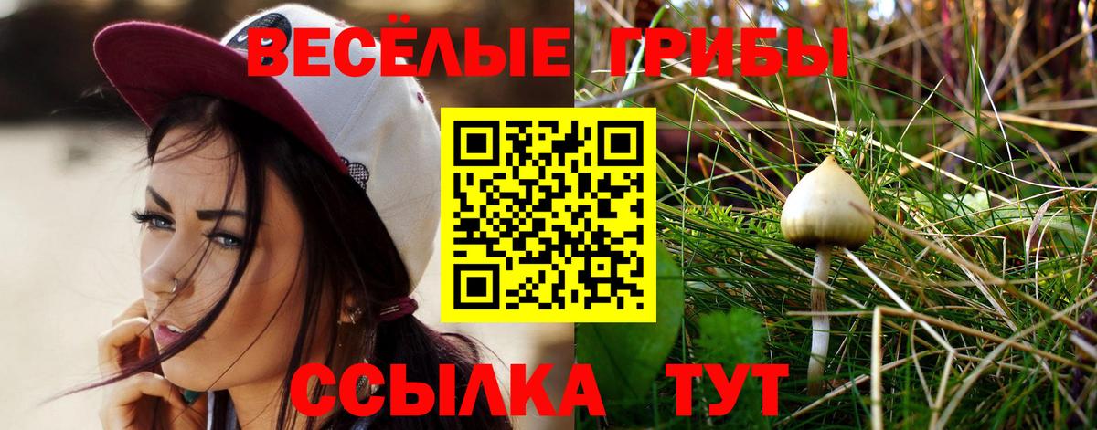 Псилоцибиновые грибы Cubensis  Вход с VPN  Кашира 